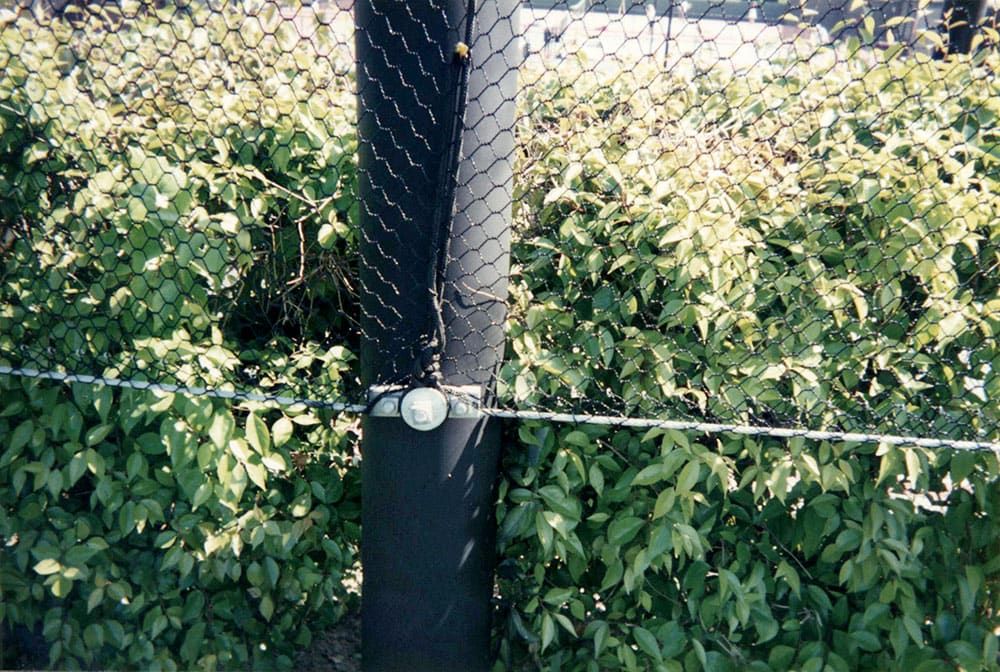 A black chain-link fence and steel pole stands amidst dense greenery, with a metal bolt and wire attaching the fence to the pole.