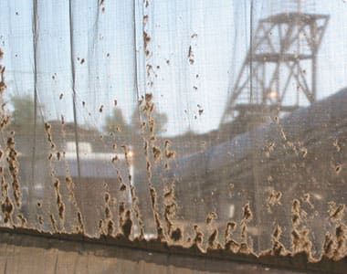 Close-up of a windscreen collecting a lot of dust, with a blurred view of industrial structures and a blue sky in the background.